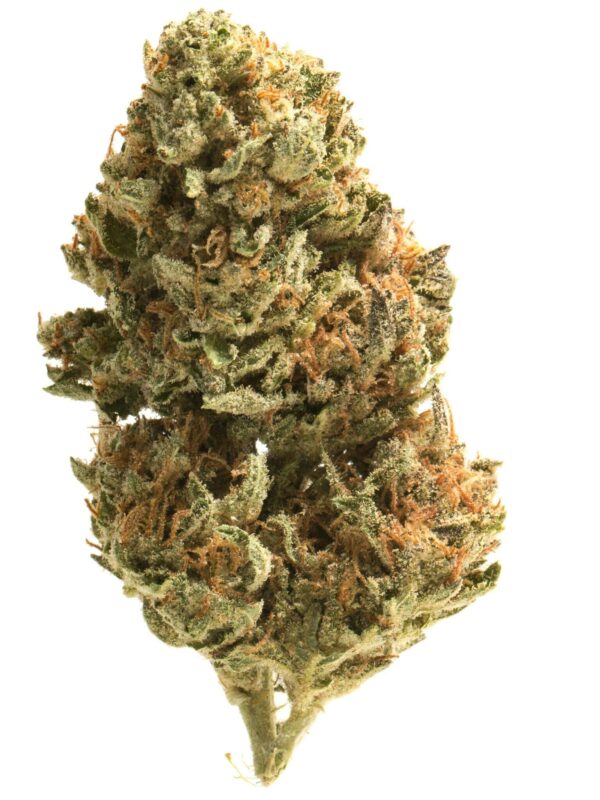 Air Heads Flower, Air Heads Cannabis, Air Heads Strain, Air Heads Weed, Premium Cannabis Flower, Hybrid Cannabis, Sweet Cannabis Flower, Fruity Cannabis Strain, Citrus Cannabis Flower, Tropical Cannabis Flower, Candy Inspired Cannabis, Frosty Cannabis Buds, Premium Cannabis Buds, Puff Cannabis Dispensary, Discreet Shipping