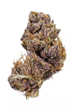 Black Domina AAA-, Black Domina Flower, Black Domina Cannabis, Black Domina Strain, Dom Cannabis, AAA- Cannabis Flower, Premium AAA Cannabis Flower, Indica Cannabis Flower, Northern Lights, Ortega, Hash Plant, Afghani Cannabis, Pepper Cannabis Flower, Spicy Cannabis Strain, Woody Cannabis Flower, Frosty Cannabis Buds, Puff Cannabis Dispensary, Discreet Shipping Black Domina AAA-, Black Domina Flower, Black Domina Cannabis, Black Domina Strain, Dom Cannabis, AAA- Cannabis Flower, Premium AAA Cannabis Flower, Indica Cannabis Flower, Northern Lights, Ortega, Hash Plant, Afghani Cannabis, Pepper Cannabis Flower, Spicy Cannabis Strain, Woody Cannabis Flower, Frosty Cannabis Buds, Puff Cannabis Dispensary, Discreet Shipping