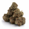Black Tuna AAA, Black Tuna Flower, Black Tuna Cannabis, Black Tuna Strain, AAA Cannabis Flower, Premium AAA Flower, Black Tuna Hybrid, Herojuana Lamb's Bread, Skunky Cannabis Flower, Woody Cannabis Strain, Earthy Cannabis Flower, Fuel Cannabis Flower, Pungent Cannabis Strain, Frosty Cannabis Buds, Puff Cannabis Dispensary, Discreet Shipping Black Tuna AAA, Black Tuna Flower, Black Tuna Cannabis, Black Tuna Strain, AAA Cannabis Flower, Premium AAA Flower, Black Tuna Hybrid, Herojuana Lamb's Bread, Skunky Cannabis Flower, Woody Cannabis Strain, Earthy Cannabis Flower, Fuel Cannabis Flower, Pungent Cannabis Strain, Frosty Cannabis Buds, Puff Cannabis Dispensary, Discreet Shipping