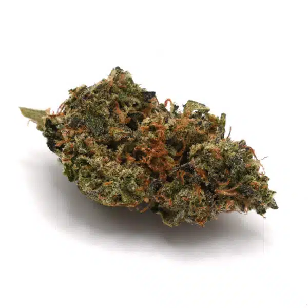Black Tuna AAA, premium AAA cannabis flower, Cannabis Exotic Dispensary cannabis, lab-tested cannabis flower, high THC hybrid cannabis, diesel-flavored cannabis, potent cannabis flower, discreet cannabis shipping, adult-use cannabis flower Black Tuna AAA, premium AAA cannabis flower, Cannabis Exotic Dispensary cannabis, lab-tested cannabis flower, high THC hybrid cannabis, diesel-flavored cannabis, potent cannabis flower, discreet cannabis shipping, adult-use cannabis flower
