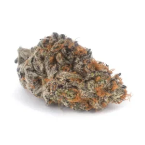 Colour of Space AAAA, Color of Space AAAA, Colour of Space Flower, Colour of Space Cannabis, Colour of Space Strain, The Color of Space, AAAA Cannabis Flower, Premium Cannabis Flower, Balanced Hybrid Cannabis, Slurricane, Platinum Kush Breath, Berry Cannabis Flower, Coffee Cannabis Strain, Purple Cannabis Buds, Frosty Cannabis Flower, Puff Cannabis Dispensary, Discreet Shipping