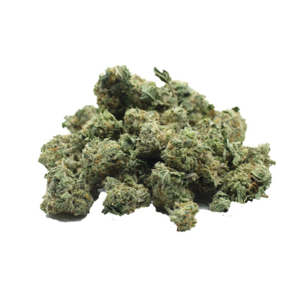 White Guava Smalls AAAA, White Guava Small Buds, White Guava Flower, White Guava Cannabis, White Guava Strain, AAAA Small Bud Cannabis, Premium Small Bud Flower, AAAA Cannabis Flower, Hybrid Cannabis, Guava Cannabis Flower, Tropical Cannabis Strain, Citrus Cannabis Flower, Fruity Cannabis Flower, Frosty Cannabis Buds, Puff Cannabis Dispensary, Discreet Shipping White Guava Smalls AAAA, White Guava Small Buds, White Guava Flower, White Guava Cannabis, White Guava Strain, AAAA Small Bud Cannabis, Premium Small Bud Flower, AAAA Cannabis Flower, Hybrid Cannabis, Guava Cannabis Flower, Tropical Cannabis Strain, Citrus Cannabis Flower, Fruity Cannabis Flower, Frosty Cannabis Buds, Puff Cannabis Dispensary, Discreet Shipping