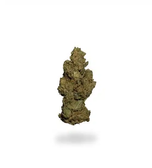 High Society High Society | Premium Cannabis Flower