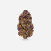 Purple Urkle AAAA, Purple Urkle Flower, Purple Urkle Cannabis, Purple Urkle OG, AAAA Cannabis Flower, Premium Cannabis Flower, Indica Dominant Cannabis, Granddaddy Purple, Mendocino Purps, Grape Cannabis Flower, Berry Cannabis Strain, Purple Cannabis Buds, Frosty Cannabis Flower, Puff Cannabis Dispensary, Discreet Shipping080x1080 Purple Urkle AAAA, Purple Urkle Flower, Purple Urkle Cannabis, Purple Urkle OG, AAAA Cannabis Flower, Premium Cannabis Flower, Indica Dominant Cannabis, Granddaddy Purple, Mendocino Purps, Grape Cannabis Flower, Berry Cannabis Strain, Purple Cannabis Buds, Frosty Cannabis Flower, Puff Cannabis Dispensary, Discreet Shipping