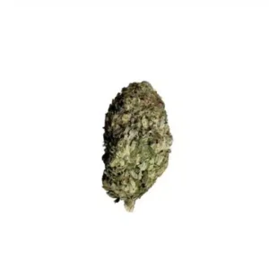 G-13 cannabis, G-13 strain, premium indica cannabis, Cannabis Exotic Dispensary flower, earthy cannabis strain, potent indica cannabis, trichome-rich buds, classic cannabis strain, discreet cannabis shipping, adult-use cannabis flower, G-13 cannabis, G-13 strain, premium indica cannabis, Cannabis Exotic Dispensary flower, earthy cannabis strain, potent indica cannabis, trichome-rich buds, classic cannabis strain, discreet cannabis shipping, adult-use cannabis flower,
