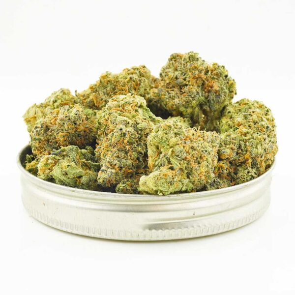 Pineapple Express AAAA, Pineapple Express Flower, Pineapple Express Cannabis, Pineapple Express Strain, AAAA Cannabis Flower, Premium Cannabis Flower, Sativa Dominant Hybrid, Tropical Cannabis Flower, Pineapple Cannabis Strain, Citrus Cannabis Flower, Fruity Cannabis Flower, Frosty Cannabis Buds, Puff Cannabis Dispensary, Discreet Shipping Pineapple Express AAAA, Pineapple Express Flower, Pineapple Express Cannabis, Pineapple Express Strain, AAAA Cannabis Flower, Premium Cannabis Flower, Sativa Dominant Hybrid, Tropical Cannabis Flower, Pineapple Cannabis Strain, Citrus Cannabis Flower, Fruity Cannabis Flower, Frosty Cannabis Buds, Puff Cannabis Dispensary, Discreet Shipping