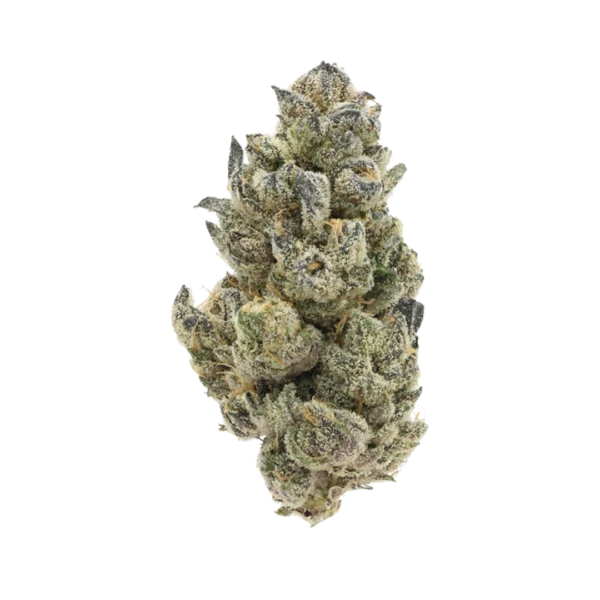 Platinum Huckleberry Cookies Flower, Platinum Huckleberry Cookies Cannabis, Platinum Huckleberry Cookies Strain, PHC Flower, Premium Cannabis Flower, Indica Dominant Hybrid, Platinum GSC, Oregon Huckleberry, Berry Cannabis Flower, Mint Cannabis Strain, Hashy Cannabis Flower, Floral Cannabis Strain, Frosty Cannabis Buds, Resin Rich Cannabis, Puff Cannabis Dispensary, Discreet Shipping