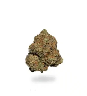 Purple God cannabis, Purple God strain, AAAA-grade cannabis flower, premium cannabis flower, Cannabis Exotic Dispensary flower, grape-flavored cannabis, potent hybrid cannabis, trichome-rich buds, discreet cannabis shipping, adult-use cannabis flower, sale cannabis flower,