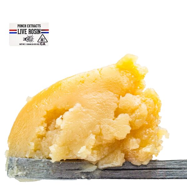 Apricot Octane, Apricot Octane Live Rosin, Punch Extracts, Tier 4 Rosin, Live Rosin Badder, Cold Cure Rosin, 1G Rosin, Solventless Concentrate, Cannabis Concentrates, Rosin Badder Apricot Octane, Apricot Octane Live Rosin, Punch Extracts, Tier 4 Rosin, Live Rosin Badder, Cold Cure Rosin, 1G Rosin, Solventless Concentrate, Cannabis Concentrates, Rosin Badder