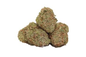 White Fire OG AAAA, White Fire OG Flower, White Fire OG Cannabis, WiFi OG, AAAA Cannabis Flower, Premium Cannabis Flower, Hybrid Cannabis, OG Cannabis Strain, Frosty Cannabis Flower, Citrus Cannabis Flower, Fuel Cannabis Strain, Pine Cannabis Flower, Puff Cannabis Dispensary, Discreet Shipping
