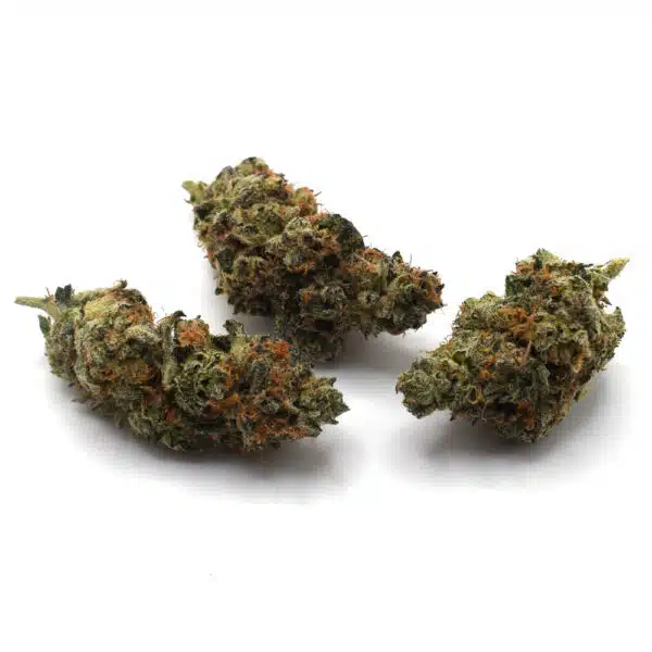 black-lemon-breath- black-lemon-breath