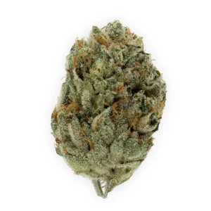 Black Triangle Flower, Black Triangle Cannabis, Black Triangle Strain, Black Triangle Weed, Premium Cannabis Flower, Indica Dominant Hybrid, Triangle Kush, 88 G13 Hashplant, Earthy Cannabis Flower, Pine Cannabis Strain, Citrus Cannabis Flower, Spicy Cannabis Flower, Lavender Cannabis, Frosty Cannabis Buds, Puff Cannabis Dispensary, Discreet Shipping