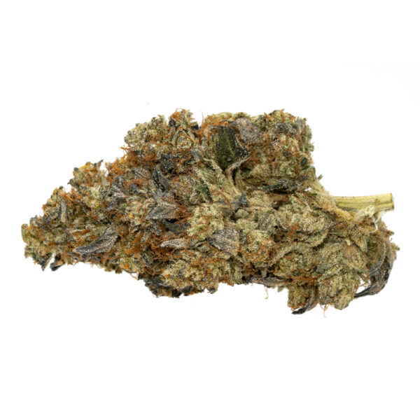 Black Tuna AAA, Black Tuna Flower, Black Tuna Cannabis, Black Tuna Strain, AAA Cannabis Flower, Premium AAA Flower, Black Tuna Hybrid, Herojuana Lamb's Bread, Skunky Cannabis Flower, Woody Cannabis Strain, Earthy Cannabis Flower, Fuel Cannabis Flower, Pungent Cannabis Strain, Frosty Cannabis Buds, Puff Cannabis Dispensary, Discreet Shipping Black Tuna AAA, Black Tuna Flower, Black Tuna Cannabis, Black Tuna Strain, AAA Cannabis Flower, Premium AAA Flower, Black Tuna Hybrid, Herojuana Lamb's Bread, Skunky Cannabis Flower, Woody Cannabis Strain, Earthy Cannabis Flower, Fuel Cannabis Flower, Pungent Cannabis Strain, Frosty Cannabis Buds, Puff Cannabis Dispensary, Discreet Shipping