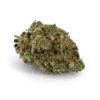 Blue Orca AAAA, Blue Orca Flower, Blue Orca Cannabis, Blue Orca Strain, BO Cannabis, AAAA Cannabis Flower, Premium AAAA Flower, Blue Orca Hybrid, Afghani Thai Stick, Citrus Cannabis Flower, Pine Cannabis Strain, Earthy Cannabis Flower, Spicy Cannabis Flower, Frosty Cannabis Buds, Puff Cannabis Dispensary, Discreet Shipping Blue Orca AAAA, Blue Orca Flower, Blue Orca Cannabis, Blue Orca Strain, BO Cannabis, AAAA Cannabis Flower, Premium AAAA Flower, Blue Orca Hybrid, Afghani Thai Stick, Citrus Cannabis Flower, Pine Cannabis Strain, Earthy Cannabis Flower, Spicy Cannabis Flower, Frosty Cannabis Buds, Puff Cannabis Dispensary, Discreet Shipping