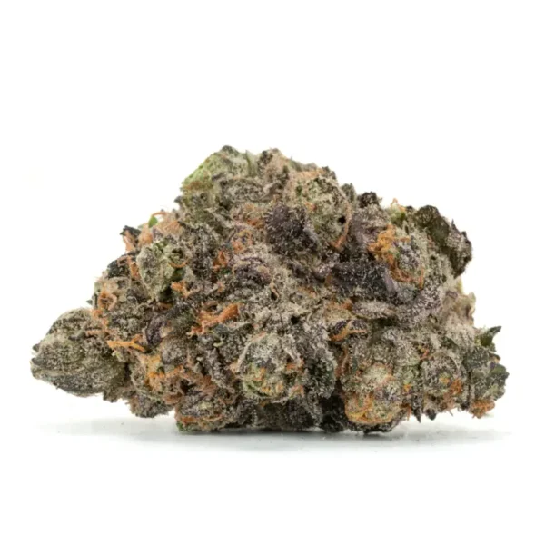Blue Widow Flower, Blue Widow Cannabis, Blue Widow Strain, Blue Widow Weed, Premium Cannabis Flower, Blueberry Cannabis, White Widow Cross, Hybrid Cannabis, Blueberry Cannabis Flower, Berry Cannabis Strain, Sweet Cannabis Flower, Citrus Cannabis Flower, Pine Cannabis Strain, Frosty Cannabis Buds, Puff Cannabis Dispensary, Discreet Shipping Blue Widow Flower, Blue Widow Cannabis, Blue Widow Strain, Blue Widow Weed, Premium Cannabis Flower, Blueberry Cannabis, White Widow Cross, Hybrid Cannabis, Blueberry Cannabis Flower, Berry Cannabis Strain, Sweet Cannabis Flower, Citrus Cannabis Flower, Pine Cannabis Strain, Frosty Cannabis Buds, Puff Cannabis Dispensary, Discreet Shipping