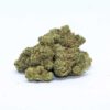 Black Triangle Flower, Black Triangle Cannabis, Black Triangle Strain, Black Triangle Weed, Premium Cannabis Flower, Indica Dominant Hybrid, Triangle Kush, 88 G13 Hashplant, Earthy Cannabis Flower, Pine Cannabis Strain, Citrus Cannabis Flower, Spicy Cannabis Flower, Lavender Cannabis, Frosty Cannabis Buds, Puff Cannabis Dispensary, Discreet Shipping Black Triangle Flower, Black Triangle Cannabis, Black Triangle Strain, Black Triangle Weed, Premium Cannabis Flower, Indica Dominant Hybrid, Triangle Kush, 88 G13 Hashplant, Earthy Cannabis Flower, Pine Cannabis Strain, Citrus Cannabis Flower, Spicy Cannabis Flower, Lavender Cannabis, Frosty Cannabis Buds, Puff Cannabis Dispensary, Discreet Shipping