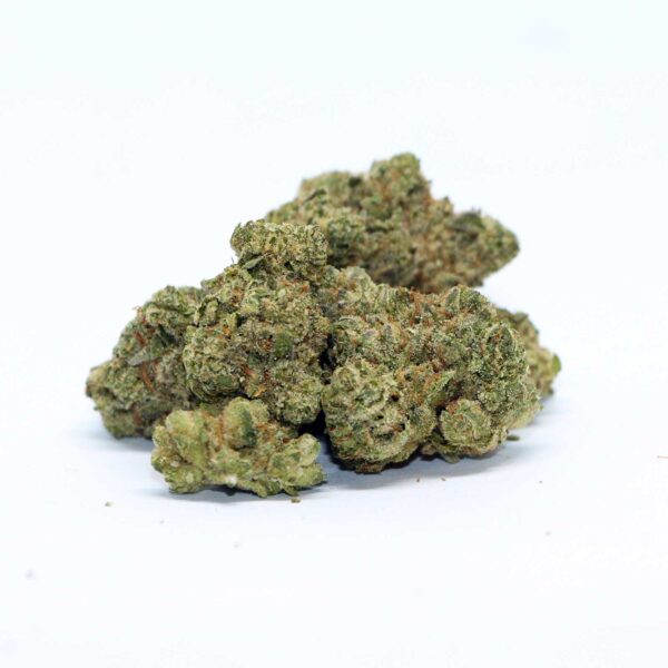 Black Triangle Flower, Black Triangle Cannabis, Black Triangle Strain, Black Triangle Weed, Premium Cannabis Flower, Indica Dominant Hybrid, Triangle Kush, 88 G13 Hashplant, Earthy Cannabis Flower, Pine Cannabis Strain, Citrus Cannabis Flower, Spicy Cannabis Flower, Lavender Cannabis, Frosty Cannabis Buds, Puff Cannabis Dispensary, Discreet Shipping Black Triangle Flower, Black Triangle Cannabis, Black Triangle Strain, Black Triangle Weed, Premium Cannabis Flower, Indica Dominant Hybrid, Triangle Kush, 88 G13 Hashplant, Earthy Cannabis Flower, Pine Cannabis Strain, Citrus Cannabis Flower, Spicy Cannabis Flower, Lavender Cannabis, Frosty Cannabis Buds, Puff Cannabis Dispensary, Discreet Shipping