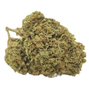 White Guava Smalls AAAA, White Guava Small Buds, White Guava Flower, White Guava Cannabis, White Guava Strain, AAAA Small Bud Cannabis, Premium Small Bud Flower, AAAA Cannabis Flower, Hybrid Cannabis, Guava Cannabis Flower, Tropical Cannabis Strain, Citrus Cannabis Flower, Fruity Cannabis Flower, Frosty Cannabis Buds, Puff Cannabis Dispensary, Discreet Shipping White Guava Smalls AAAA, White Guava Small Buds, White Guava Flower, White Guava Cannabis, White Guava Strain, AAAA Small Bud Cannabis, Premium Small Bud Flower, AAAA Cannabis Flower, Hybrid Cannabis, Guava Cannabis Flower, Tropical Cannabis Strain, Citrus Cannabis Flower, Fruity Cannabis Flower, Frosty Cannabis Buds, Puff Cannabis Dispensary, Discreet Shipping