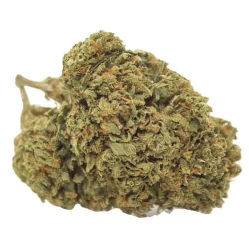 White Guava Smalls AAAA, White Guava Small Buds, White Guava Flower, White Guava Cannabis, White Guava Strain, AAAA Small Bud Cannabis, Premium Small Bud Flower, AAAA Cannabis Flower, Hybrid Cannabis, Guava Cannabis Flower, Tropical Cannabis Strain, Citrus Cannabis Flower, Fruity Cannabis Flower, Frosty Cannabis Buds, Puff Cannabis Dispensary, Discreet Shipping White Guava Smalls AAAA, White Guava Small Buds, White Guava Flower, White Guava Cannabis, White Guava Strain, AAAA Small Bud Cannabis, Premium Small Bud Flower, AAAA Cannabis Flower, Hybrid Cannabis, Guava Cannabis Flower, Tropical Cannabis Strain, Citrus Cannabis Flower, Fruity Cannabis Flower, Frosty Cannabis Buds, Puff Cannabis Dispensary, Discreet Shipping