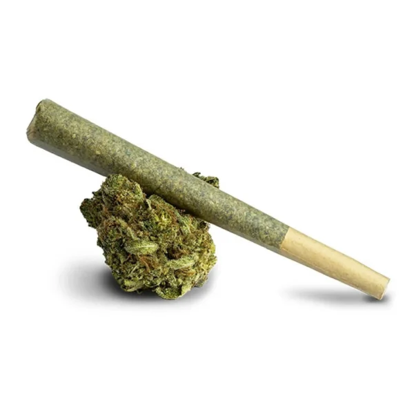 Casacanna Blue Dream, Blue Dream Pre-Rolls, Casacanna Pre-Rolls, Blue Dream 2-Pack, Cannabis Pre-Rolls, Premium Pre-Rolls, California Cannabis, Blue Dream Cannabis Casacanna Blue Dream, Blue Dream Pre-Rolls, Casacanna Pre-Rolls, Blue Dream 2-Pack, Cannabis Pre-Rolls, Premium Pre-Rolls, California Cannabis, Blue Dream Cannabis