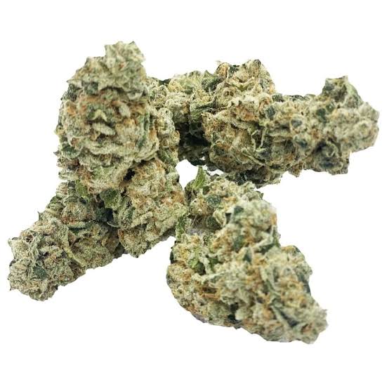 Lindsay OG Flower, Lindsay OG Cannabis, Lindsay OG Strain, Lindsay OG Weed, LOG Cannabis, Premium Cannabis Flower, Hybrid Cannabis, Diesel Cannabis Flower, Earthy Cannabis Strain, Skunky Cannabis Flower, Pungent Cannabis Strain, OG Cannabis Flower, Frosty Cannabis Buds, Puff Cannabis Dispensary, Discreet Shipping Lindsay OG Flower, Lindsay OG Cannabis, Lindsay OG Strain, Lindsay OG Weed, LOG Cannabis, Premium Cannabis Flower, Hybrid Cannabis, Diesel Cannabis Flower, Earthy Cannabis Strain, Skunky Cannabis Flower, Pungent Cannabis Strain, OG Cannabis Flower, Frosty Cannabis Buds, Puff Cannabis Dispensary, Discreet Shipping