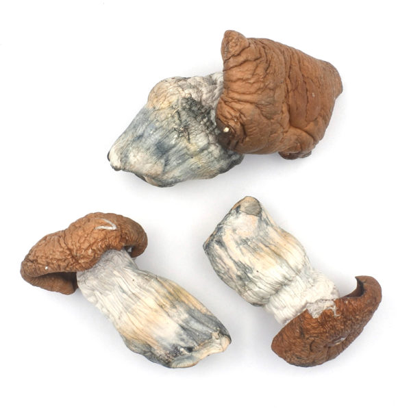 king-kong-3- King Kong cannabis strain, premium cannabis flower, discreet cannabis shipping, potent cannabis effects, adult cannabis use, Cannabis Exotic Dispensary