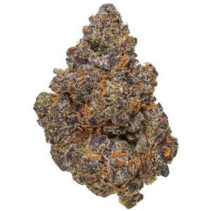 Point Break Flower, Point Break Cannabis, Point Break Strain, Point Break Weed, Premium Cannabis Flower, Hybrid Cannabis, Tropicana Cookies, Trophy Wife, Citrus Cannabis Flower, Grapefruit Cannabis Strain, Orange Cannabis Flower, Tropical Cannabis Flower, Frosty Cannabis Buds, Limonene Cannabis, Puff Cannabis Dispensary, Discreet Shipping Point Break Flower, Point Break Cannabis, Point Break Strain, Point Break Weed, Premium Cannabis Flower, Hybrid Cannabis, Tropicana Cookies, Trophy Wife, Citrus Cannabis Flower, Grapefruit Cannabis Strain, Orange Cannabis Flower, Tropical Cannabis Flower, Frosty Cannabis Buds, Limonene Cannabis, Puff Cannabis Dispensary, Discreet Shipping