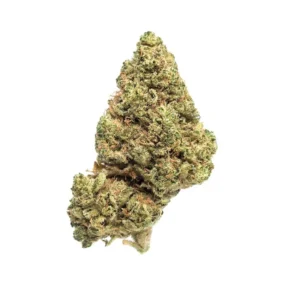 Stardawg, Stardog, Stardawg Strain, Stardog Strain, Stardawg Cannabis, Stardawg Sativa, Stardog Cannabis, Stardawg Flower, Sativa Cannabis Strain, Discreet Cannabis Service