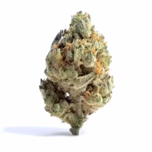Honey flavored cannabis flower, smooth hybrid weed strain, beginner friendly cannabis strain, sweet aroma marijuana, light relaxing weed, terpene rich cannabis flower, top shelf hybrid strain, daily use cannabis flower, exotic weed strain CED, discreet cannabis shipping worldwide, international cannabis delivery,Honey Bee strain, Honey Bee weed, sweet cannabis strain, honey flavored weed, CED Honey Bee, Cannabis Exotic Dispensary strain, hybrid cannabis flower, smooth smoking weed, mild THC strain, floral cannabis strain, relaxing hybrid weed, premium cannabis buds, flavorful weed strain