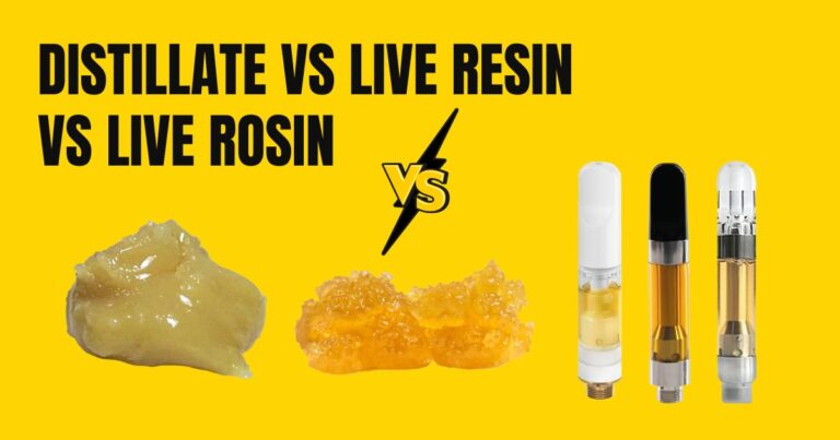 live resin or live rosin, live rosin vs live resin, difference between live resin and live rosin, live resin vs rosin
