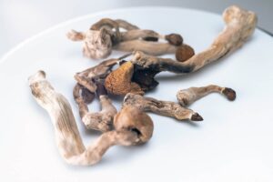 Amazonian Dried Mushrooms