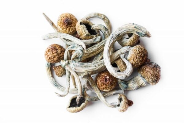 Brazilian Dried Magic Mushrooms