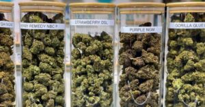Learn how to read a cannabis label, including THC, CBD, serving size, terpenes, ingredients, weight, batch numbers, and more at Puff Cannabis.