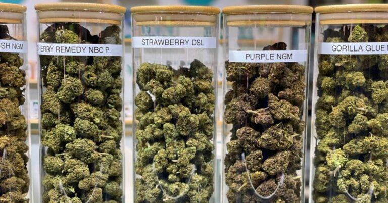Learn how to read a cannabis label, including THC, CBD, serving size, terpenes, ingredients, weight, batch numbers, and more at Puff Cannabis.