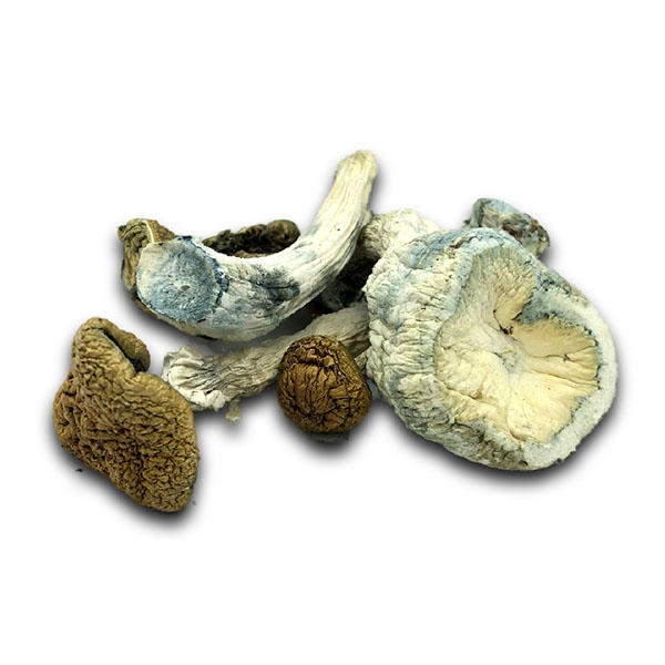 Mazatapec Dried Mushrooms, Mazatapec Mushrooms, Dried Mushrooms, Mazatapec, Mushroom Products, Puff Cannabis Dispensary