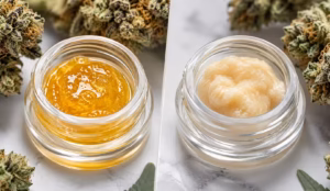 What Are the Best Concentrated Cannabis Extracts for Pain Relief?