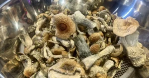Where to Buy Psilocybin Mushrooms & Gummies in the US or Near Me