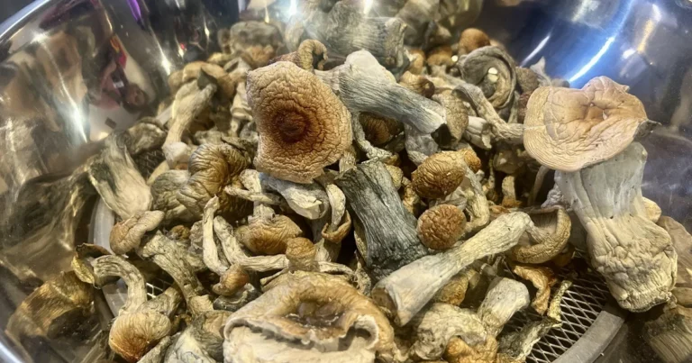 Where to Buy Psilocybin Mushrooms & Gummies in the US or Near Me
