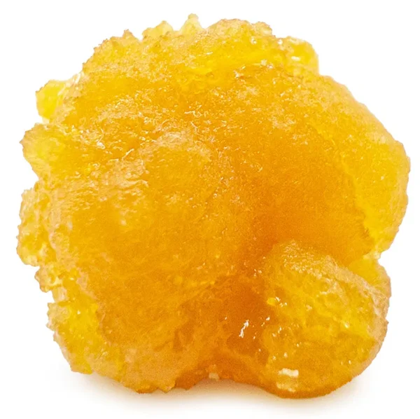 WTF Live Resin God’s Gift, WTF God’s Gift, God’s Gift Live Resin, WTF Cannabis Live Resin, God’s Gift Concentrate, Cannabis Live Resin, God’s Gift Cannabis, Indica-Dominant Live Resin, Granddaddy Purple x OG Kush, Berry Cannabis Concentrate, Citrus Cannabis Concentrate, Earthy Cannabis Concentrate, Pine Cannabis Concentrate, Sweet Cannabis Concentrate, High-THC Live Resin, Puff Cannabis Dispensary, Discreet Shipping WTF Live Resin God’s Gift, WTF God’s Gift, God’s Gift Live Resin, WTF Cannabis Live Resin, God’s Gift Concentrate, Cannabis Live Resin, God’s Gift Cannabis, Indica-Dominant Live Resin, Granddaddy Purple x OG Kush, Berry Cannabis Concentrate, Citrus Cannabis Concentrate, Earthy Cannabis Concentrate, Pine Cannabis Concentrate, Sweet Cannabis Concentrate, High-THC Live Resin, Puff Cannabis Dispensary, Discreet Shipping