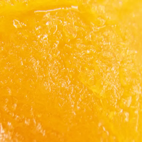 WTF Live Resin God’s Gift, WTF God’s Gift, God’s Gift Live Resin, WTF Cannabis Live Resin, God’s Gift Concentrate, Cannabis Live Resin, God’s Gift Cannabis, Indica-Dominant Live Resin, Granddaddy Purple x OG Kush, Berry Cannabis Concentrate, Citrus Cannabis Concentrate, Earthy Cannabis Concentrate, Pine Cannabis Concentrate, Sweet Cannabis Concentrate, High-THC Live Resin, Puff Cannabis Dispensary, Discreet Shipping WTF Live Resin God’s Gift, WTF God’s Gift, God’s Gift Live Resin, WTF Cannabis Live Resin, God’s Gift Concentrate, Cannabis Live Resin, God’s Gift Cannabis, Indica-Dominant Live Resin, Granddaddy Purple x OG Kush, Berry Cannabis Concentrate, Citrus Cannabis Concentrate, Earthy Cannabis Concentrate, Pine Cannabis Concentrate, Sweet Cannabis Concentrate, High-THC Live Resin, Puff Cannabis Dispensary, Discreet Shipping