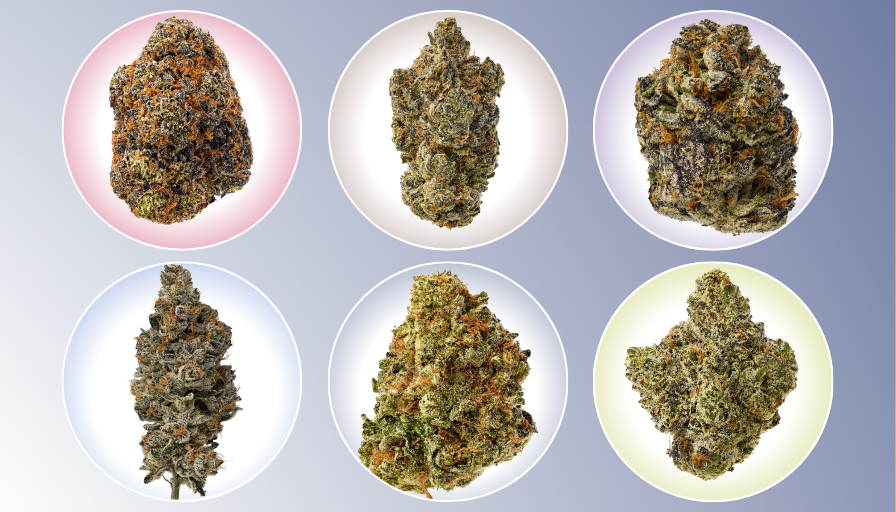 best cannabis flower strains for relaxation and stress relief