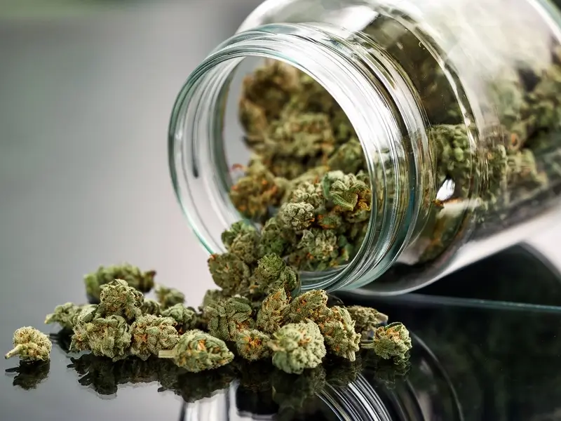 buying cannabis online